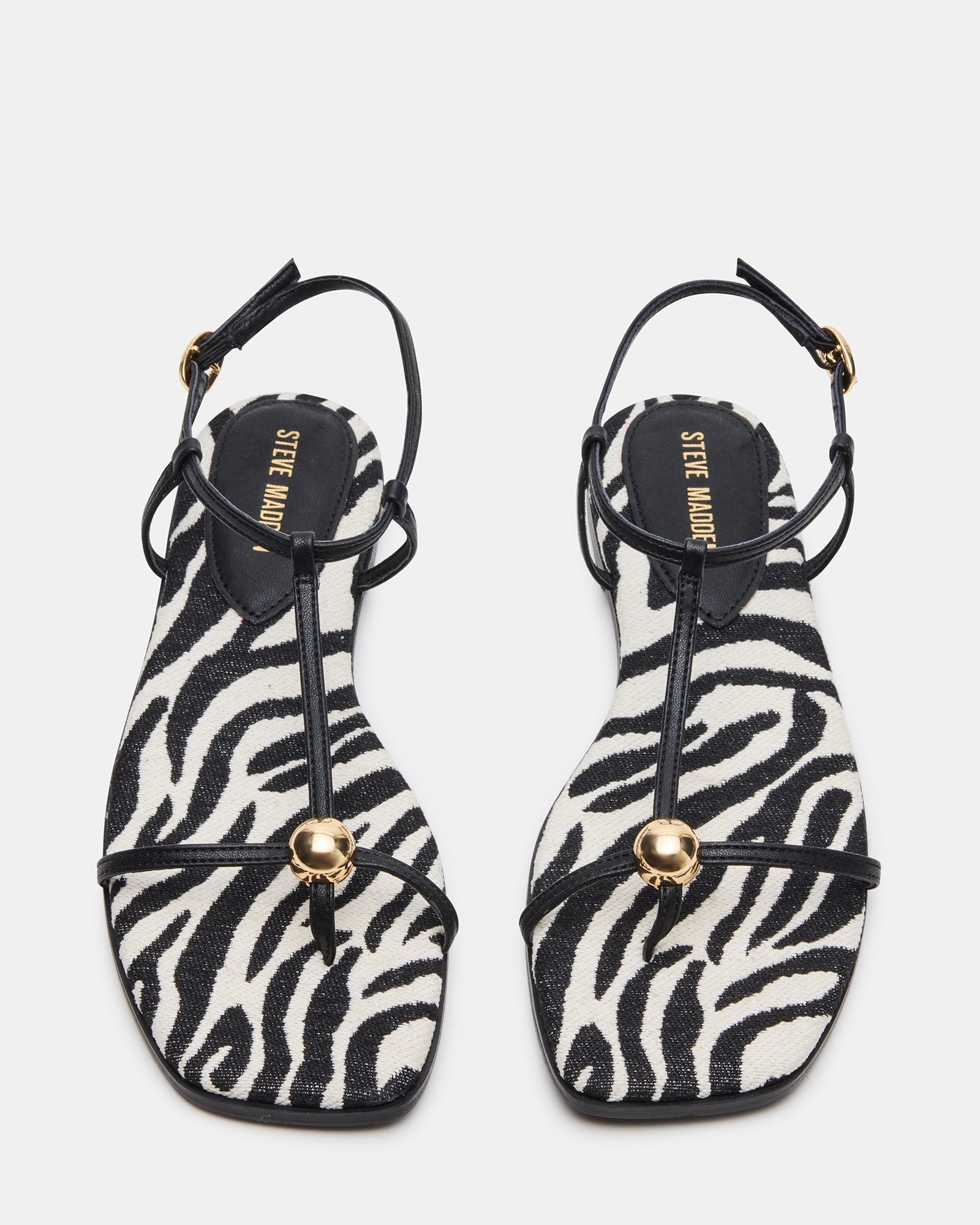 RITZY ZEBRA